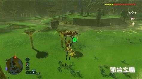 雷之台地 龍血樹